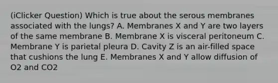 (iClicker Question) Which is true about the serous membranes associated with the lungs? A. Membranes X and Y are two layers of the same membrane B. Membrane X is visceral peritoneum C. Membrane Y is parietal pleura D. Cavity Z is an air-filled space that cushions the lung E. Membranes X and Y allow diffusion of O2 and CO2