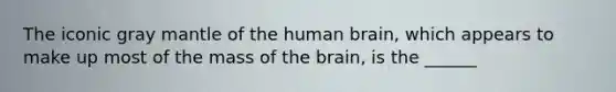 The iconic gray mantle of the human brain, which appears to make up most of the mass of the brain, is the ______