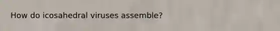 How do icosahedral viruses assemble?