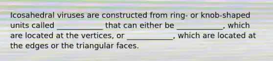 Icosahedral viruses are constructed from ring- or knob-shaped units called ____________ that can either be ____________, which are located at the vertices, or ____________, which are located at the edges or the triangular faces.