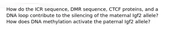 How do the ICR sequence, DMR sequence, CTCF proteins, and a DNA loop contribute to the silencing of the maternal Igf2 allele? How does DNA methylation activate the paternal Igf2 allele?