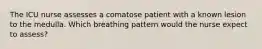 The ICU nurse assesses a comatose patient with a known lesion to the medulla. Which breathing pattern would the nurse expect to assess?