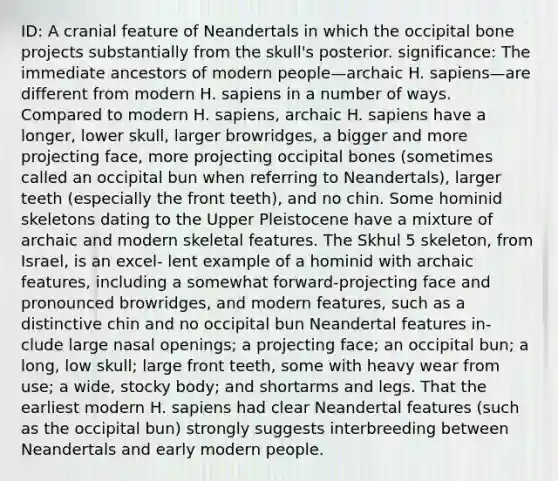 ID: A cranial feature of Neandertals in which the occipital bone projects substantially from the skull's posterior. significance: The immediate ancestors of modern people—archaic H. sapiens—are different from modern H. sapiens in a number of ways. Compared to modern H. sapiens, archaic H. sapiens have a longer, lower skull, larger browridges, a bigger and more projecting face, more projecting occipital bones (sometimes called an occipital bun when referring to Neandertals), larger teeth (especially the front teeth), and no chin. Some hominid skeletons dating to the Upper Pleistocene have a mixture of archaic and modern skeletal features. The Skhul 5 skeleton, from Israel, is an excel- lent example of a hominid with archaic features, including a somewhat forward-projecting face and pronounced browridges, and modern features, such as a distinctive chin and no occipital bun Neandertal features in- clude large nasal openings; a projecting face; an occipital bun; a long, low skull; large front teeth, some with heavy wear from use; a wide, stocky body; and shortarms and legs. That the earliest modern H. sapiens had clear Neandertal features (such as the occipital bun) strongly suggests interbreeding between Neandertals and early modern people.