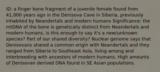 ID: a finger bone fragment of a juvenile female found from 41,000 years ago in the Denisova Cave in Siberia, previously inhabited by Neandertals and modern humans Significance: the mtDNA of the bone is genetically distinct from Neandertals and modern humans, is this enough to say it's a new/unknown species? Part of our shared diversity? Nuclear genome says that Denisovans shared a common origin with Neandertals and they ranged from Siberia to Southeast Asia, living among and interbreeding with ancestors of modern humans. High amounts of Denisovan derived DNA found in SE Asian populations.