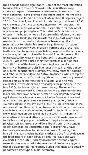 ID: a Neandertal site significance: Some of the most interesting Neandertals are from the Shanidar site, in northern Iraq's Kurdistan region. These Neandertals—seven adults and three young children—have provided important insight into the lives, lifestyles, and cultural practices of late archaic H. sapiens (Figure 11.14). Shanidar 1, an older adult male dating to at least 45,000 yBP, is one of the most complete skeletons from the site. The face is that of a typical Neandertal, especially in its wide nasal aperture and projecting face. This individual's life history is written in his bones. A healed fracture on his left eye orbit may have caused blindness. Severe arthritis in his feet might have resulted from the constant stresses of traversing difficult, mountainous terrain in this area of Iraq. Shanidar 1's upper incisors are severely worn, probably from his use of the front teeth as a tool for grasping and holding objects in the same or a similar way as the much earlier hominid from Atapuerca. This extramasticatory wear on the front teeth is determined by culture—Neandertals used their front teeth as a part of their "tool kit." Use of the front teeth as a tool has remained a hallmark of human behavior into recent times in a wide variety of cultures, ranging from Eskimos, who chew hides for clothing and other material culture, to Native Americans, who chew plant material to prepare it for basketry. Shanidar 1 also had personal reasons for using his front teeth as a tool. When he was excavated, by the American archaeologist Ralph Solecki in the late 1950s, his lower right arm was missing. The American physical anthropologist T. Dale Stewart has suggested that the lower arm may have been amputated or accidentally severed right above the elbow at some point after Shanidar 1 reached adulthood. The upper arm was severely atrophied, probably owing to disuse of the arm during life. The loss of the use of the arm meant that Shanidar 1 had to use his teeth to perform some simple functions, such as eating or making tools. His survival likely depended on the use of his front teeth. An important implication of this and other injuries is that Shanidar was cared for by his social group into adulthood, despite his reduced physical abilities. Severe conditions like his are not present in earlier hominids, so Neandertal social behavior may have become more modernlike, at least in terms of treating the injured. This adult male's healed injuries are the first evidence in the fossil record of such behavior. This Iraqi cave site was excavated in the late 1950s by an American archaeological team. Evidence found with the Neandertal skeletons suggests that the Neandertals intentionally buried their dead and possibly performed some type of burial ceremony.