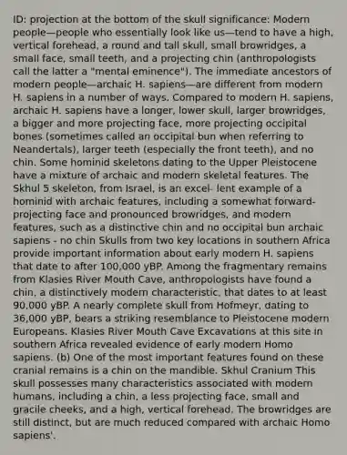 ID: projection at the bottom of the skull significance: Modern people—people who essentially look like us—tend to have a high, vertical forehead, a round and tall skull, small browridges, a small face, small teeth, and a projecting chin (anthropologists call the latter a "mental eminence"). The immediate ancestors of modern people—archaic H. sapiens—are different from modern H. sapiens in a number of ways. Compared to modern H. sapiens, archaic H. sapiens have a longer, lower skull, larger browridges, a bigger and more projecting face, more projecting occipital bones (sometimes called an occipital bun when referring to Neandertals), larger teeth (especially the front teeth), and no chin. Some hominid skeletons dating to the Upper Pleistocene have a mixture of archaic and modern skeletal features. The Skhul 5 skeleton, from Israel, is an excel- lent example of a hominid with archaic features, including a somewhat forward-projecting face and pronounced browridges, and modern features, such as a distinctive chin and no occipital bun archaic sapiens - no chin Skulls from two key locations in southern Africa provide important information about early modern H. sapiens that date to after 100,000 yBP. Among the fragmentary remains from Klasies River Mouth Cave, anthropologists have found a chin, a distinctively modern characteristic, that dates to at least 90,000 yBP. A nearly complete skull from Hofmeyr, dating to 36,000 yBP, bears a striking resemblance to Pleistocene modern Europeans. Klasies River Mouth Cave Excavations at this site in southern Africa revealed evidence of early modern Homo sapiens. (b) One of the most important features found on these cranial remains is a chin on the mandible. Skhul Cranium This skull possesses many characteristics associated with modern humans, including a chin, a less projecting face, small and gracile cheeks, and a high, vertical forehead. The browridges are still distinct, but are much reduced compared with archaic Homo sapiens'.