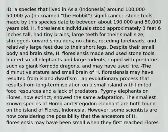 ID: a species that lived in Asia (Indonesia) around 100,000-50,000 ya (nicknamed "the Hobbit") significance: -stone tools made by this species date to between about 190,000 and 50,000 years old. H. floresiensis individuals stood approximately 3 feet 6 inches tall, had tiny brains, large teeth for their small size, shrugged-forward shoulders, no chins, receding foreheads, and relatively large feet due to their short legs. Despite their small body and brain size, H. floresiensis made and used stone tools, hunted small elephants and large rodents, coped with predators such as giant Komodo dragons, and may have used fire. -The diminutive stature and small brain of H. floresiensis may have resulted from island dwarfism—an evolutionary process that results from long-term isolation on a small island with limited food resources and a lack of predators. Pygmy elephants on Flores, now extinct, showed the same adaptation. The smallest known species of Homo and Stegodon elephant are both found on the island of Flores, Indonesia. However, some scientists are now considering the possibility that the ancestors of H. floresiensis may have been small when they first reached Flores.