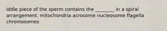 iddle piece of the sperm contains the ________ in a spiral arrangement. mitochondria acrosome nucleosome flagella chromosomes