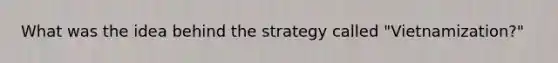 What was the idea behind the strategy called "Vietnamization?"