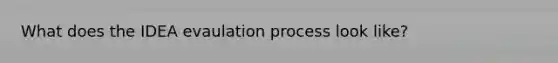 What does the IDEA evaulation process look like?