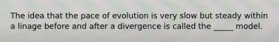 The idea that the pace of evolution is very slow but steady within a linage before and after a divergence is called the _____ model.