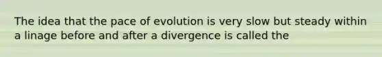 The idea that the pace of evolution is very slow but steady within a linage before and after a divergence is called the