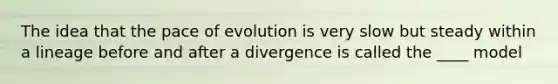 The idea that the pace of evolution is very slow but steady within a lineage before and after a divergence is called the ____ model