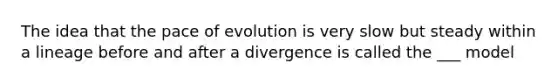 The idea that the pace of evolution is very slow but steady within a lineage before and after a divergence is called the ___ model