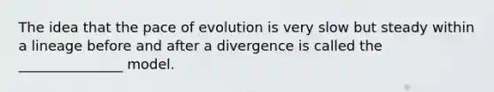 The idea that the pace of evolution is very slow but steady within a lineage before and after a divergence is called the _______________ model.