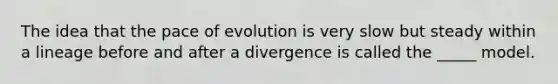 The idea that the pace of evolution is very slow but steady within a lineage before and after a divergence is called the _____ model.