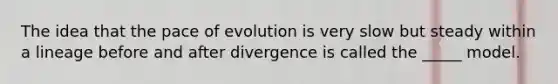 The idea that the pace of evolution is very slow but steady within a lineage before and after divergence is called the _____ model.