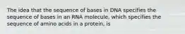 The idea that the sequence of bases in DNA specifies the sequence of bases in an RNA molecule, which specifies the sequence of amino acids in a protein, is