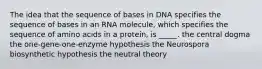 The idea that the sequence of bases in DNA specifies the sequence of bases in an RNA molecule, which specifies the sequence of amino acids in a protein, is _____. the central dogma the one-gene-one-enzyme hypothesis the Neurospora biosynthetic hypothesis the neutral theory