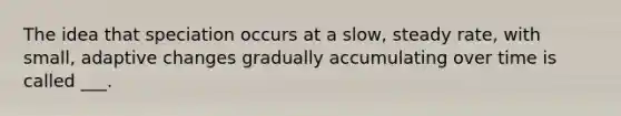 The idea that speciation occurs at a slow, steady rate, with small, adaptive changes gradually accumulating over time is called ___.