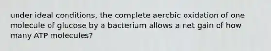 under ideal conditions, the complete aerobic oxidation of one molecule of glucose by a bacterium allows a net gain of how many ATP molecules?