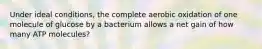 Under ideal conditions, the complete aerobic oxidation of one molecule of glucose by a bacterium allows a net gain of how many ATP molecules?