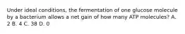 Under ideal conditions, the fermentation of one glucose molecule by a bacterium allows a net gain of how many ATP molecules? A. 2 B. 4 C. 38 D. 0