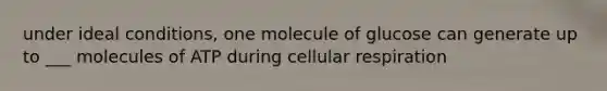 under ideal conditions, one molecule of glucose can generate up to ___ molecules of ATP during cellular respiration