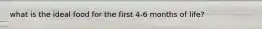 what is the ideal food for the first 4-6 months of life?