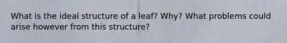 What is the ideal structure of a leaf? Why? What problems could arise however from this structure?