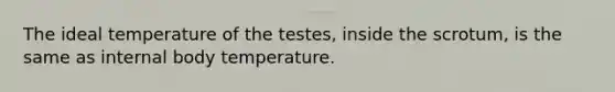 The ideal temperature of the testes, inside the scrotum, is the same as internal body temperature.