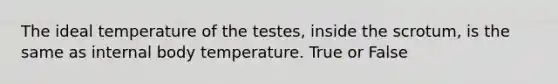 The ideal temperature of the testes, inside the scrotum, is the same as internal body temperature. True or False