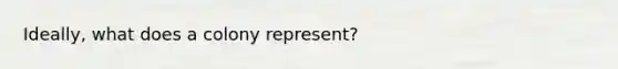 Ideally, what does a colony represent?