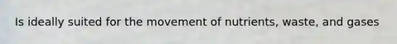 Is ideally suited for the movement of nutrients, waste, and gases