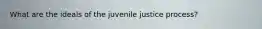 What are the ideals of the juvenile justice process?