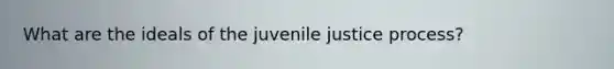 What are the ideals of the juvenile justice process?