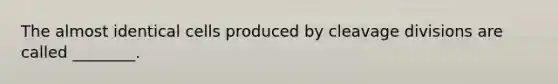 The almost identical cells produced by cleavage divisions are called ________.