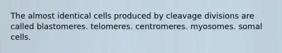 The almost identical cells produced by cleavage divisions are called blastomeres. telomeres. centromeres. myosomes. somal cells.