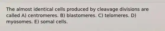 The almost identical cells produced by cleavage divisions are called A) centromeres. B) blastomeres. C) telomeres. D) myosomes. E) somal cells.