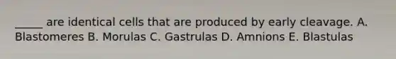 _____ are identical cells that are produced by early cleavage. A. Blastomeres B. Morulas C. Gastrulas D. Amnions E. Blastulas