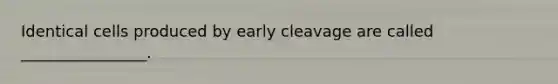 Identical cells produced by early cleavage are called ________________.