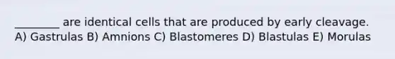 ________ are identical cells that are produced by early cleavage. A) Gastrulas B) Amnions C) Blastomeres D) Blastulas E) Morulas