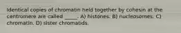 Identical copies of chromatin held together by cohesin at the centromere are called _____. A) histones. B) nucleosomes. C) chromatin. D) sister chromatids.