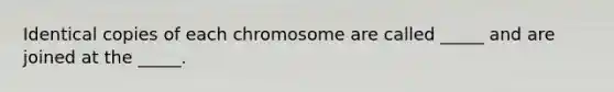 Identical copies of each chromosome are called _____ and are joined at the _____.