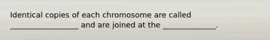 Identical copies of each chromosome are called __________________ and are joined at the ______________.