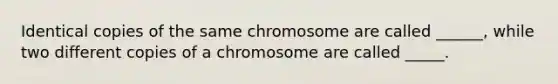 Identical copies of the same chromosome are called ______, while two different copies of a chromosome are called _____.