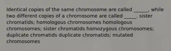 Identical copies of the same chromosome are called ______, while two different copies of a chromosome are called _____. sister chromatids; homologous chromosomes homologous chromosomes; sister chromatids homozygous chromosomes; duplicate chromatids duplicate chromatids; mutated chromosomes