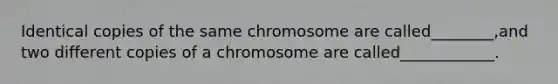 Identical copies of the same chromosome are called________,and two different copies of a chromosome are called____________.