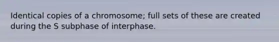 Identical copies of a chromosome; full sets of these are created during the S subphase of interphase.