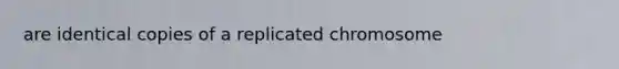 are identical copies of a replicated chromosome